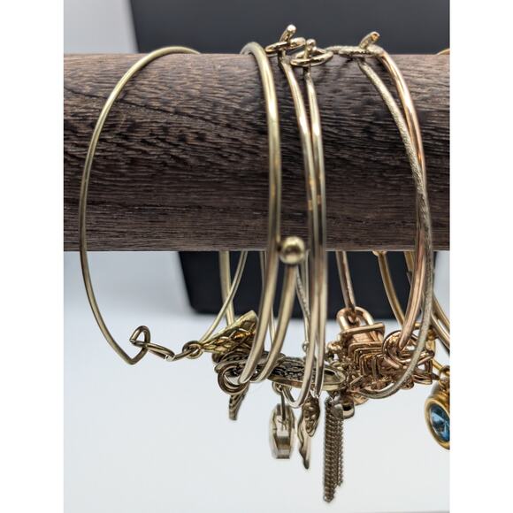 Lot of Twenty-Nine Alex and Ani & Similar Adjustable Wire Bangle Bracelets - Picture 11 of 12